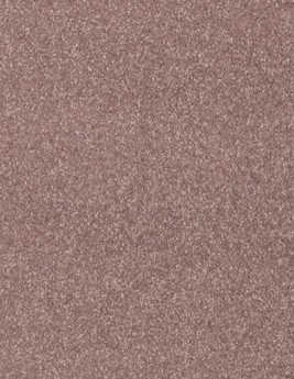 Moquette shaggy SATISFACTION 5M, col gris moyen, rouleau 5.00 m