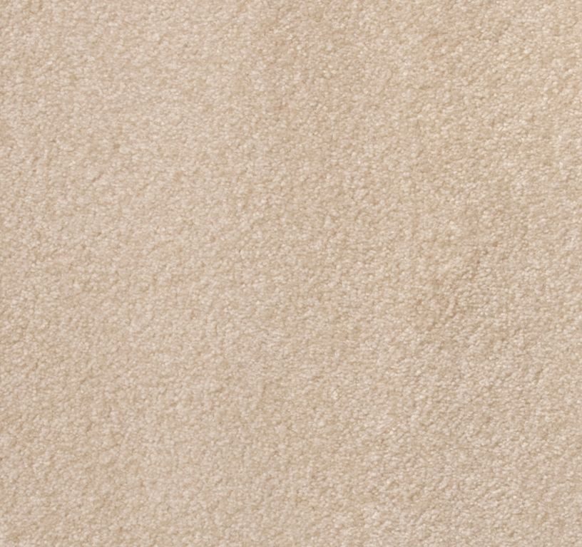Moquette shaggy SATISFACTION 5M, col beige, rouleau 5.00 m