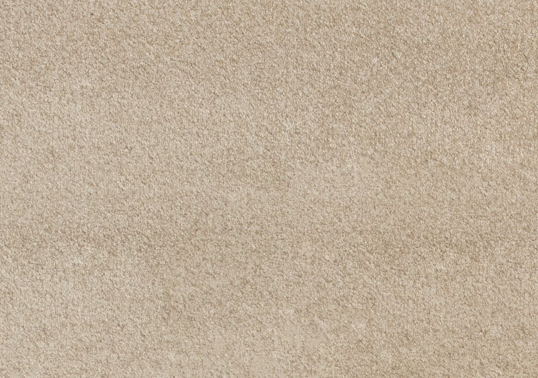 Moquette shaggy SATISFACTION 5M, col beige foncé, rouleau 5.00 m
