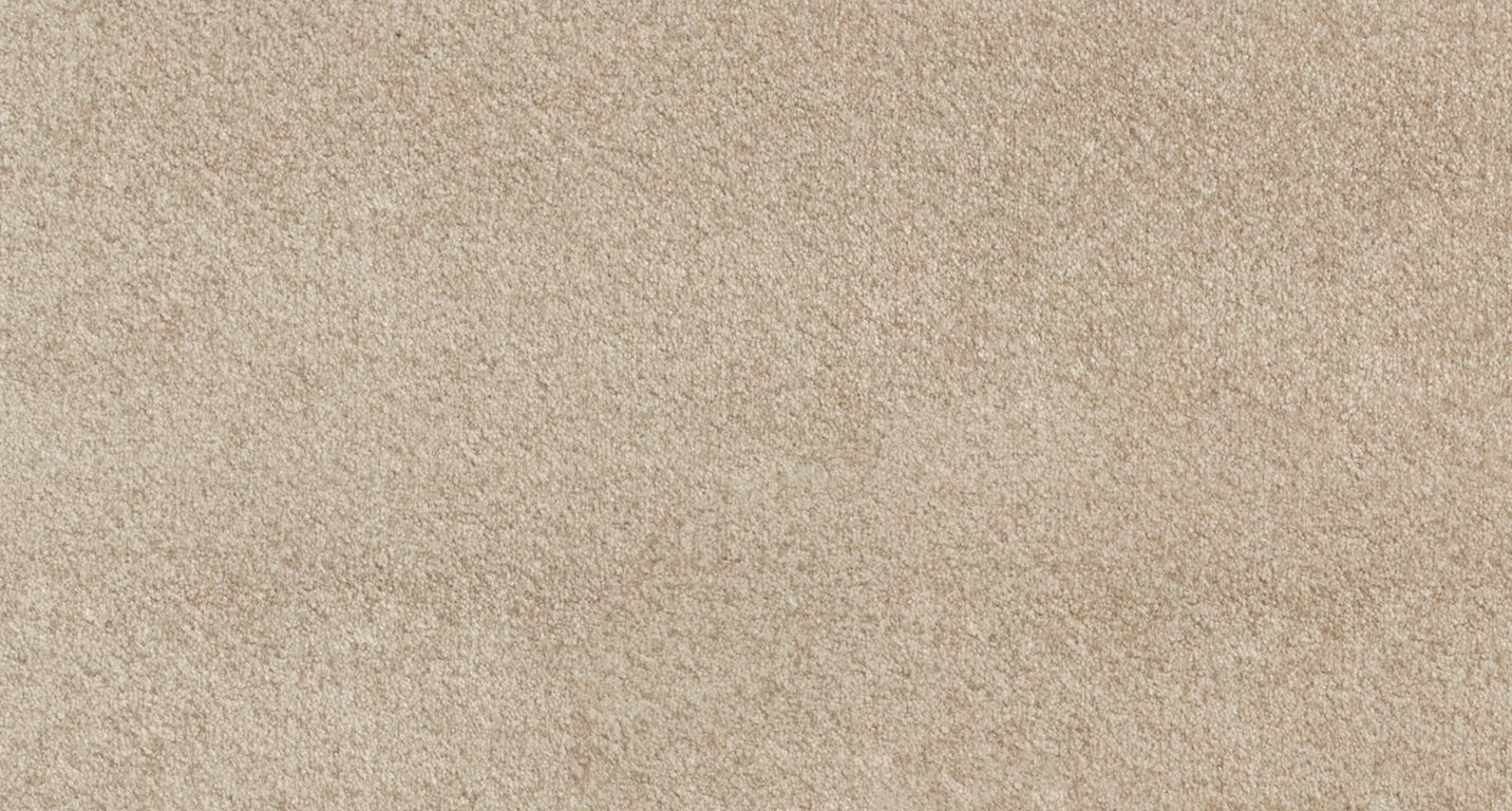 Moquette shaggy SATISFACTION 5M, col beige foncé, rouleau 5.00 m