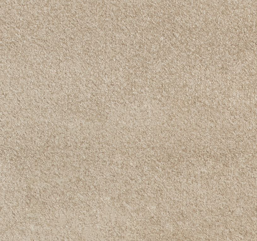 Moquette shaggy SATISFACTION 5M, col beige foncé, rouleau 5.00 m