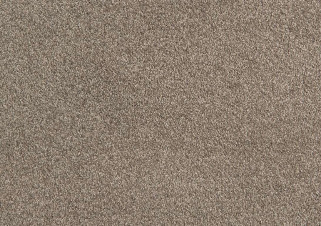 Moquette shaggy SATISFACTION 5M, col grège, rouleau 5.00 m