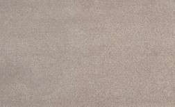 Moquette shaggy SATISFACTION 5M, col taupe, rouleau 5.00 m