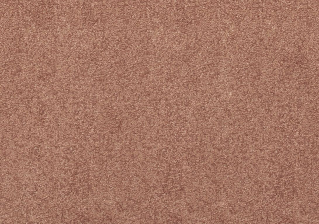 Moquette shaggy SATISFACTION 5M, col marron rosé , rouleau 5.00 m