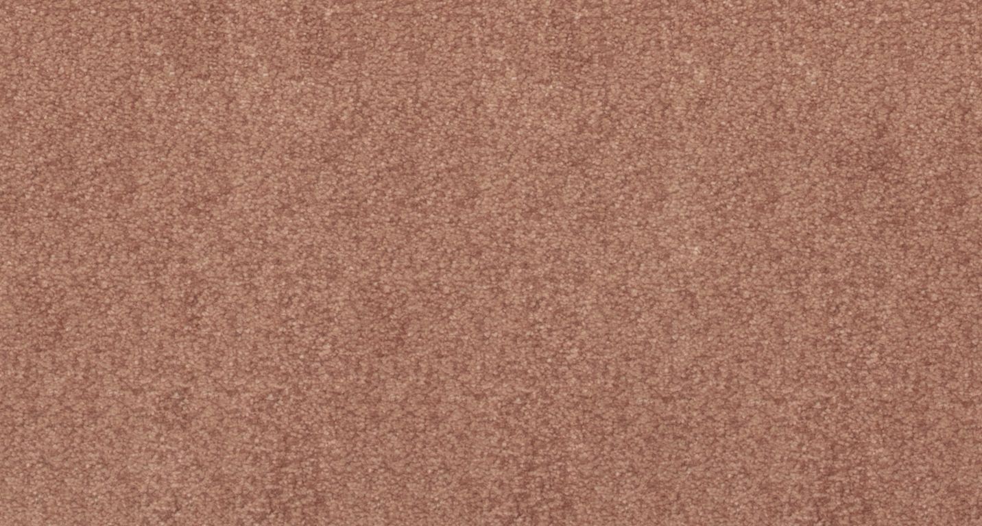 Moquette shaggy SATISFACTION 5M, col marron rosé , rouleau 5.00 m