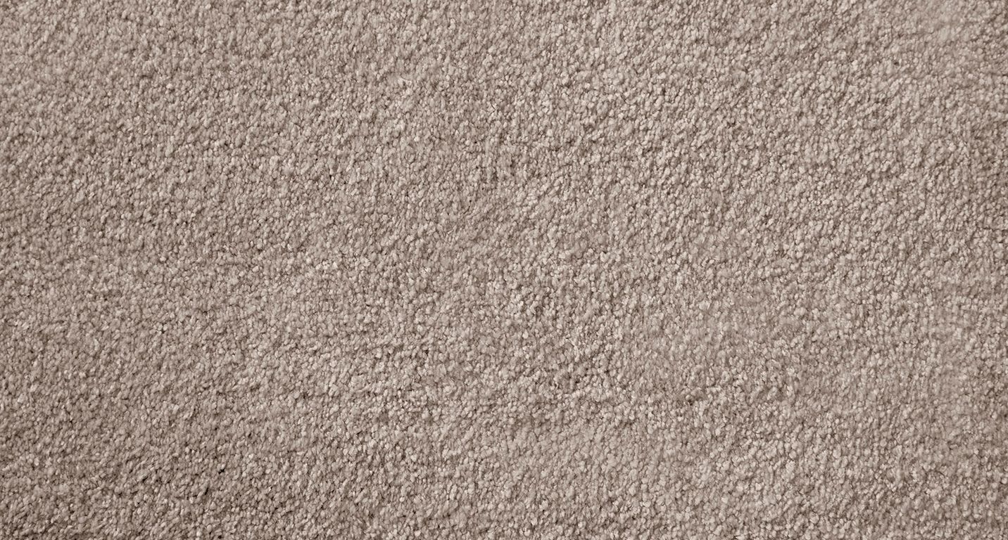 Moquette velours SEDUCTION5, col taupe, rouleau 5.00 m