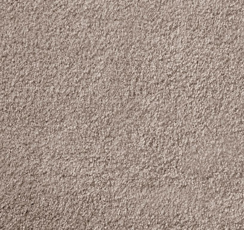 Moquette velours SEDUCTION5, col taupe, rouleau 5.00 m