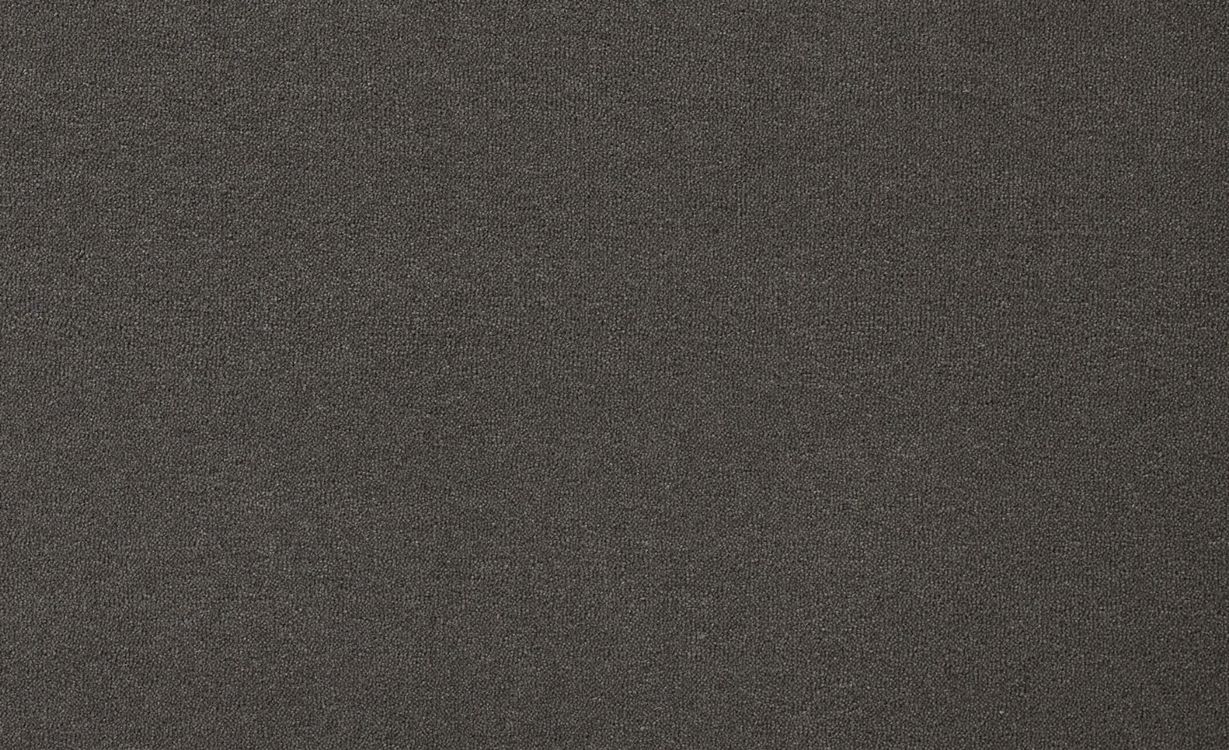 Moquette velours SHEBA , col Gris , rouleau 4.00 m