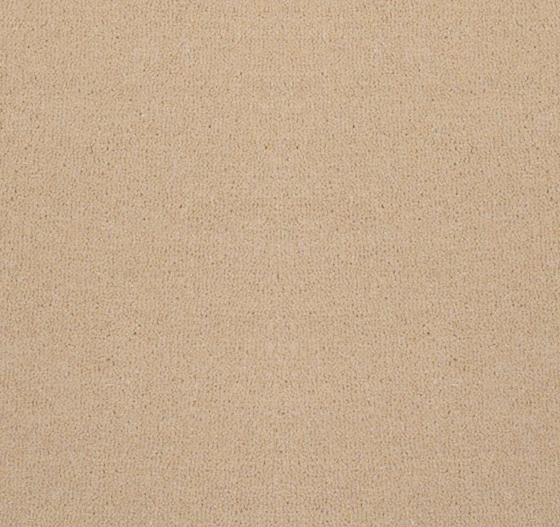 Moquette velours ANCY 5, col sable, rouleau 5.00 m