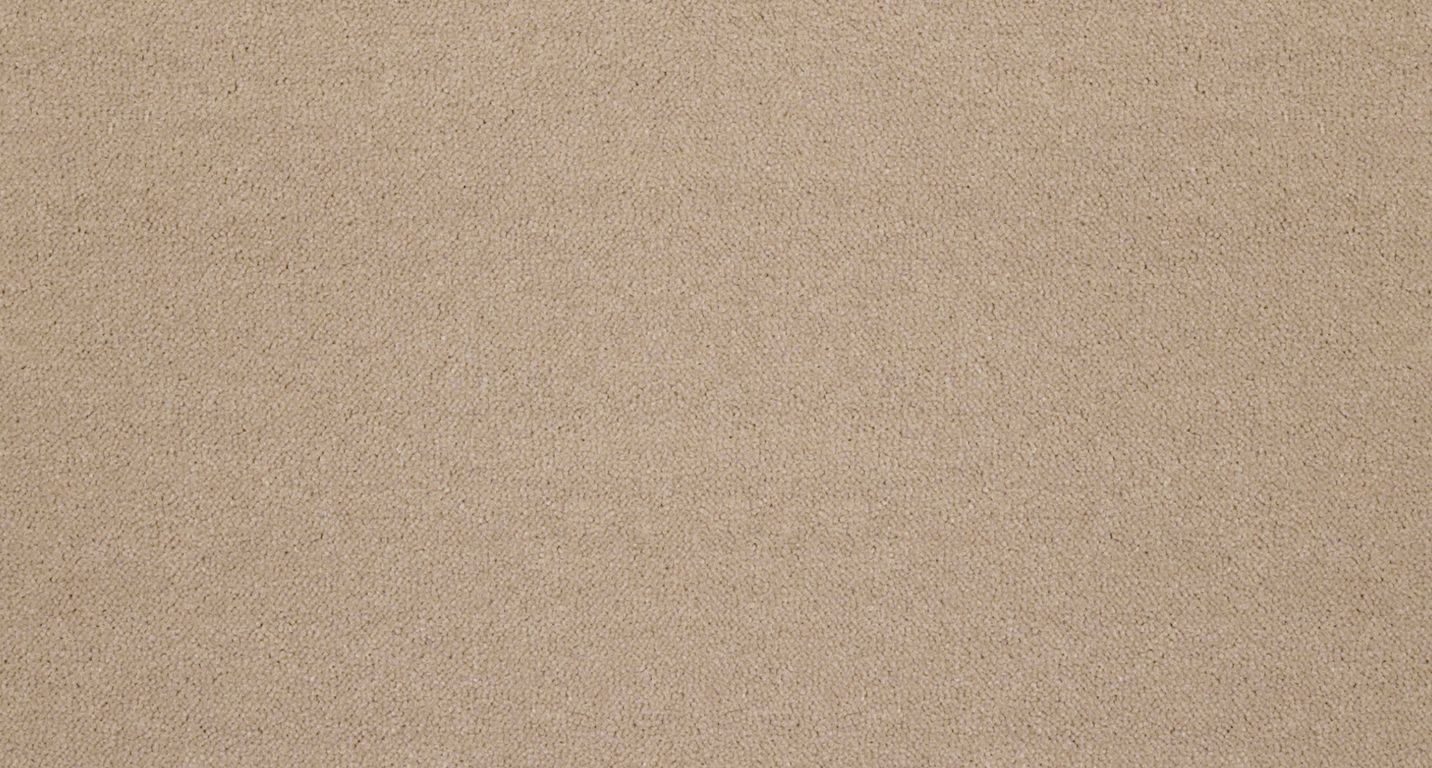 Moquette velours ANCY 5, col cappuccino, rouleau 5.00 m