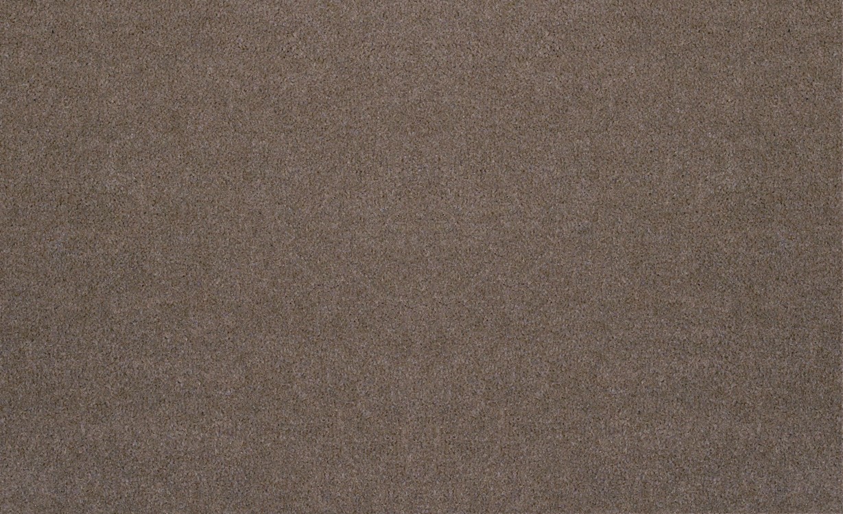 Moquette velours ANCY 5, col taupe, rouleau 5.00 m