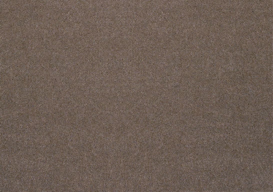 Moquette velours ANCY 5, col marron, rouleau 5.00 m