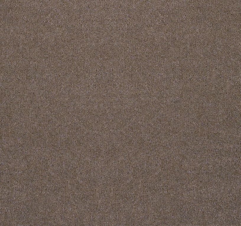 Moquette velours ANCY 5, col marron, rouleau 5.00 m