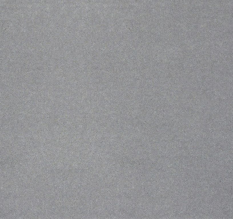 Moquette velours ANCY 5, col gris acier, rouleau 5.00 m