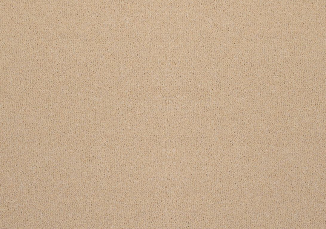 Moquette velours ANCY , col caramel, rouleau 4.00 m