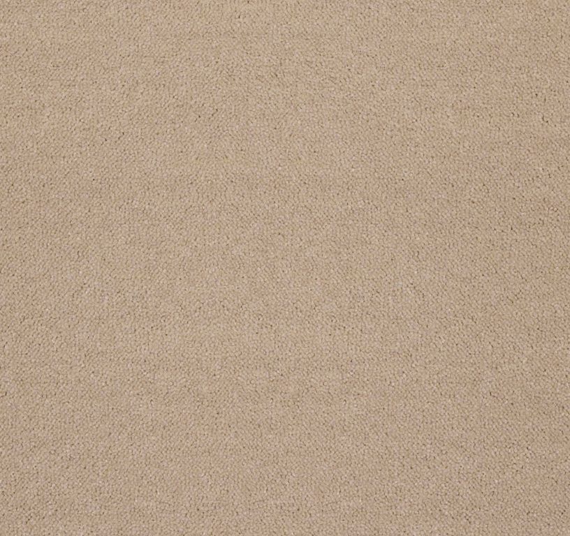 Moquette velours ANCY , col caramel, rouleau 4.00 m