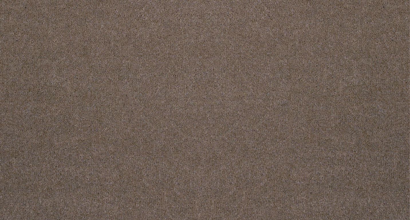Moquette velours ANCY , col marron, rouleau 4.00 m