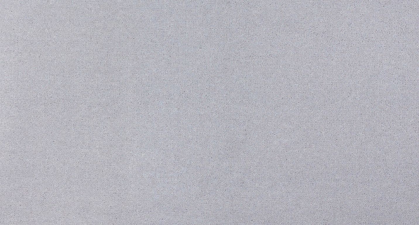 Moquette velours ANCY , col gris perle, rouleau 4.00 m