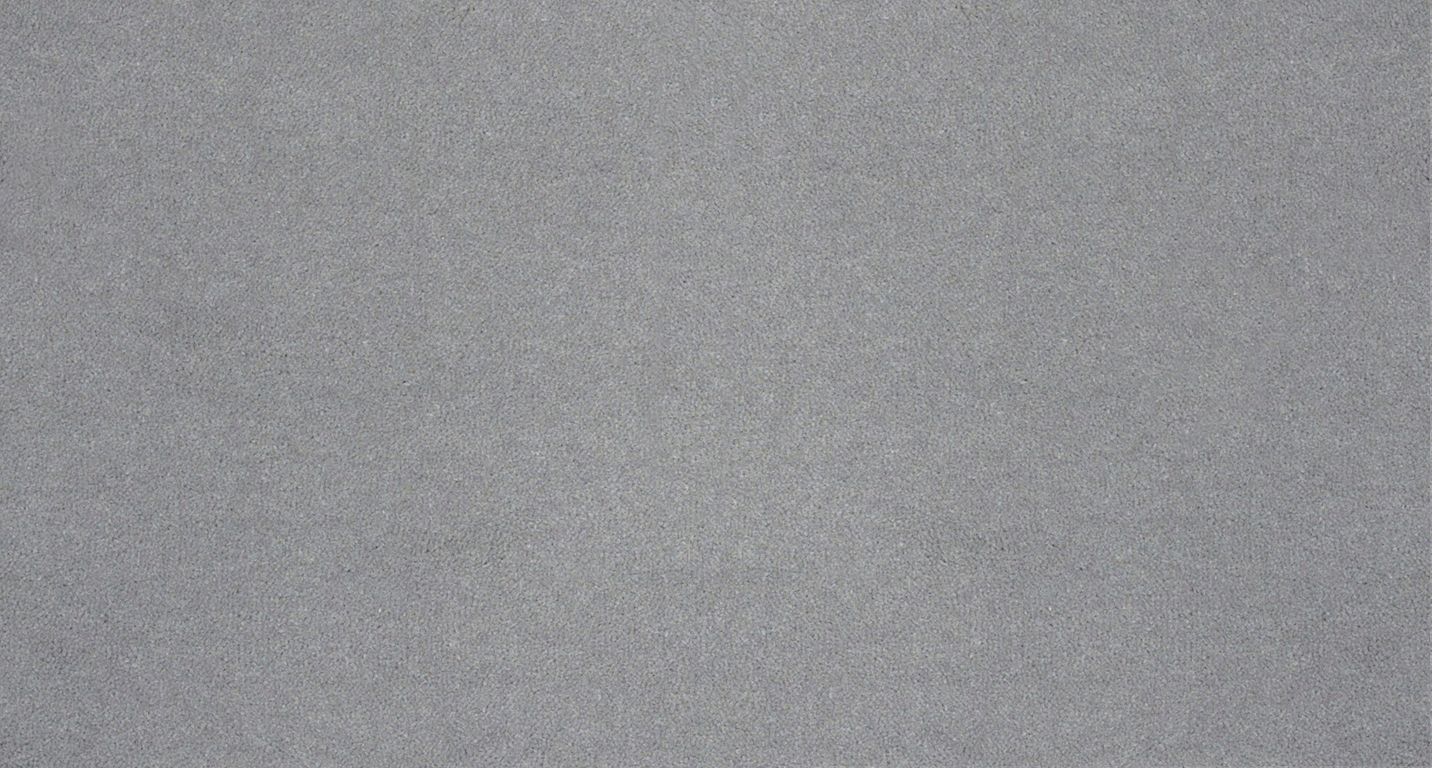 Moquette velours ANCY , col gris souris, rouleau 4.00 m