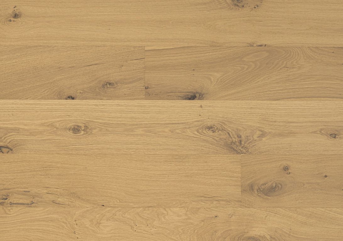 Parquet contrecollé CASCADA NEW 190 Chêne authentique, chêne naturel, verni, larg. 19.00 cm