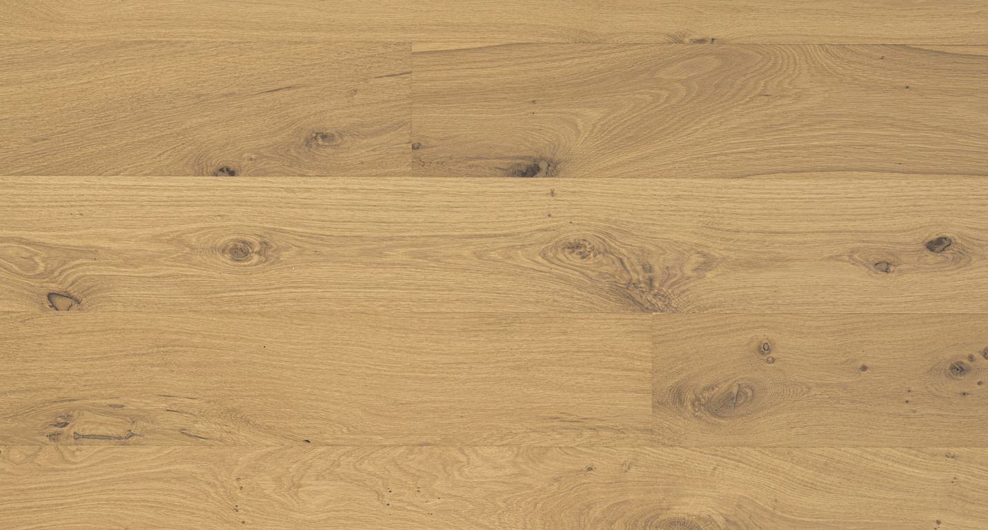 Parquet contrecollé CASCADA NEW 190 Chêne authentique, chêne naturel, verni, larg. 19.00 cm