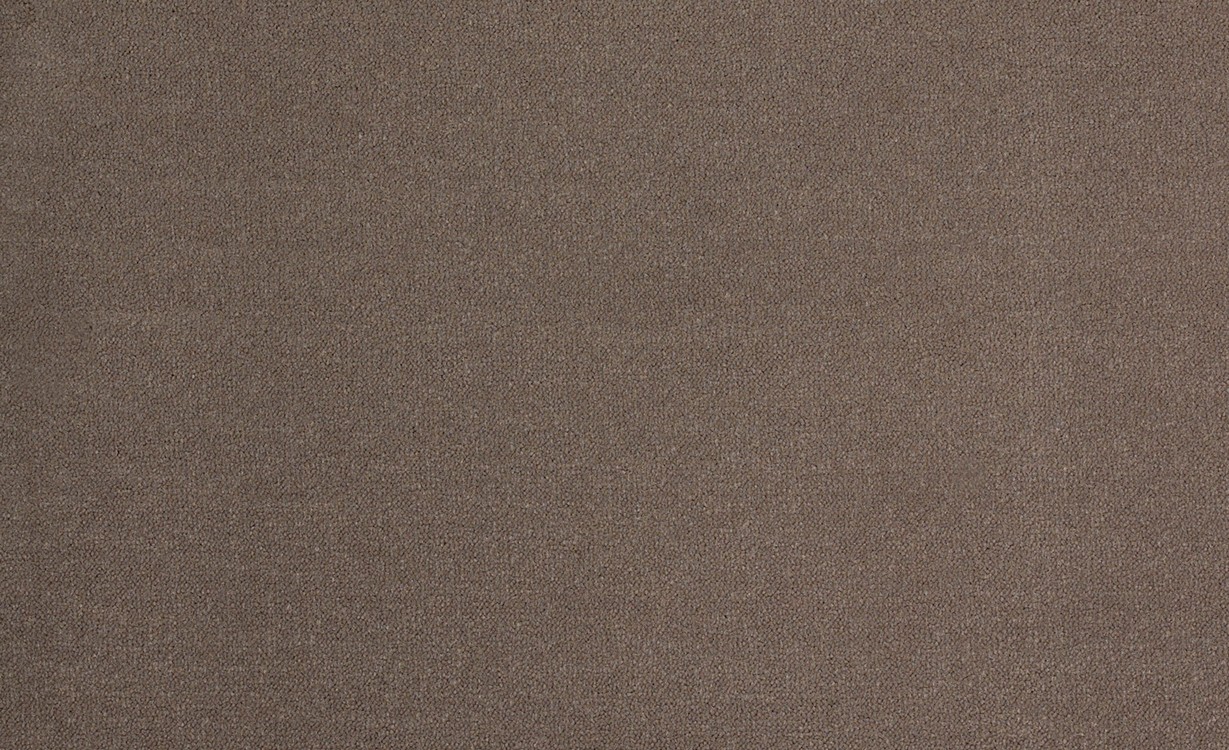 Moquette velours DELTA 5M, col taupe, rouleau 5.00 m