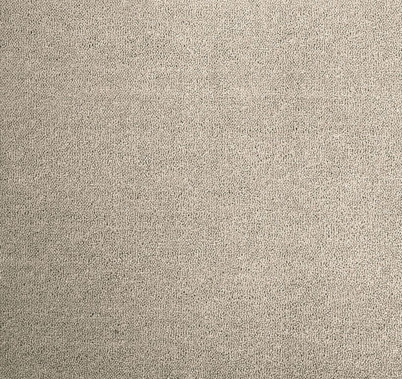 Moquette velours DELTA , col greige, rouleau 4.00 m