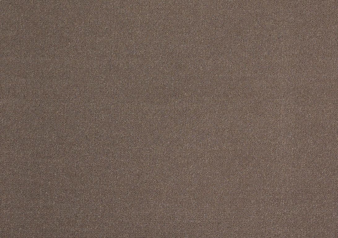 Moquette velours DELTA , col taupe, rouleau 4.00 m