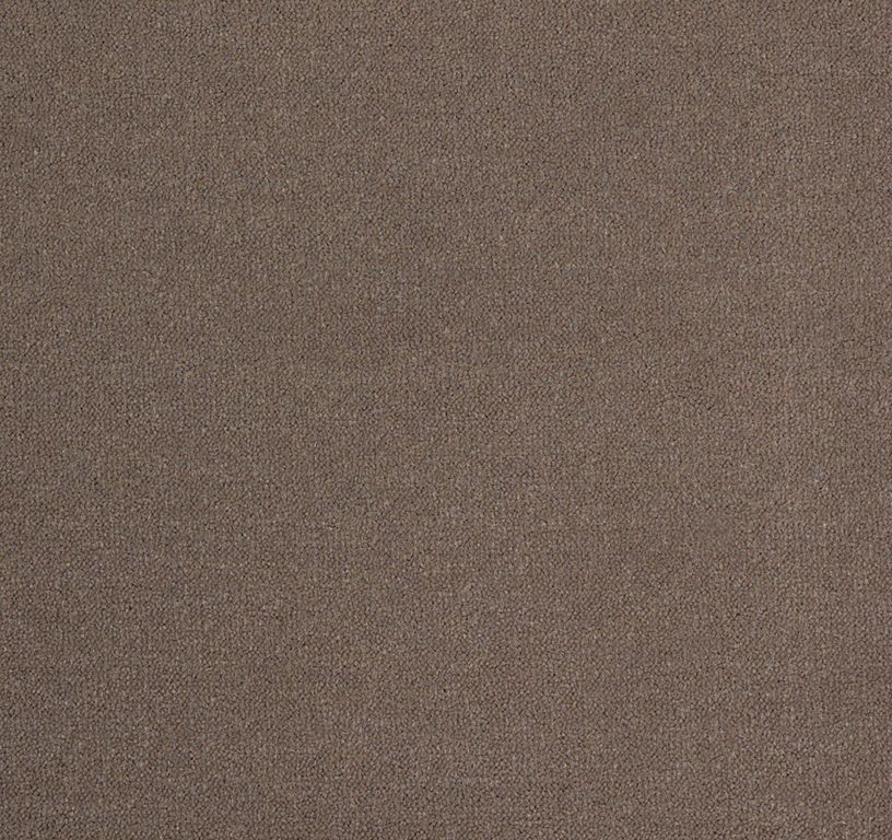 Moquette velours DELTA , col taupe, rouleau 4.00 m