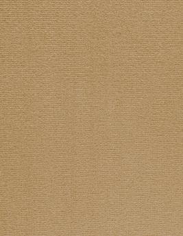 Moquette velours ALTONA 4M, col caramel, rouleau 4.00 m