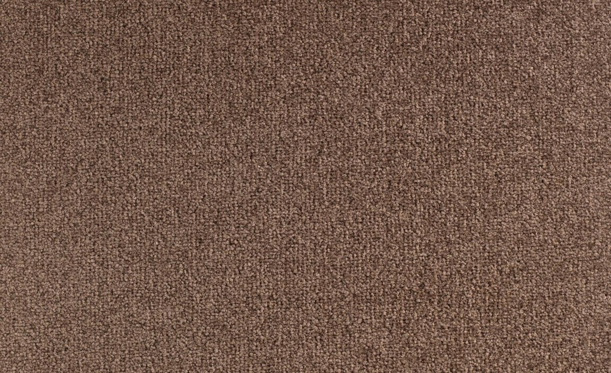 Moquette velours SCENIQUE 4, col marron , rouleau 4.00 m