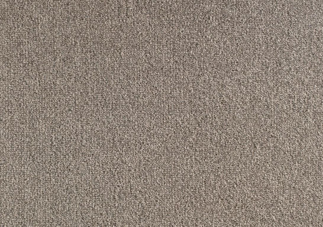 Moquette velours SCENIQUE 4, col marron glacé, rouleau 4.00 m