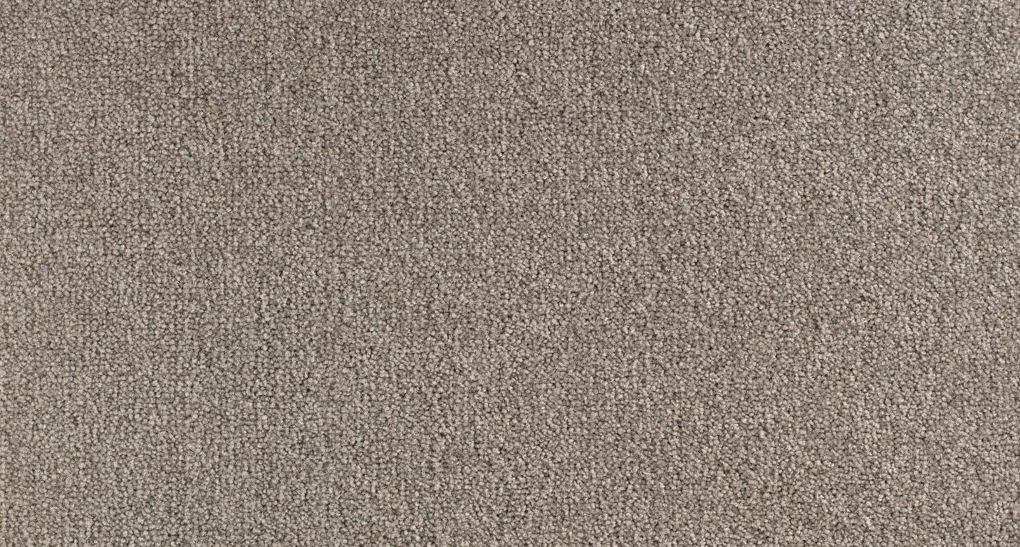 Moquette velours SCENIQUE 4, col marron glacé, rouleau 4.00 m