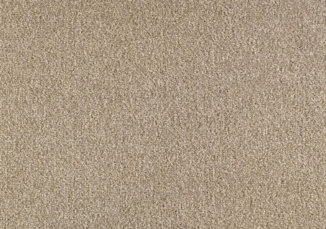 Moquette velours SCENIQUE 4, col beige, rouleau 4.00 m