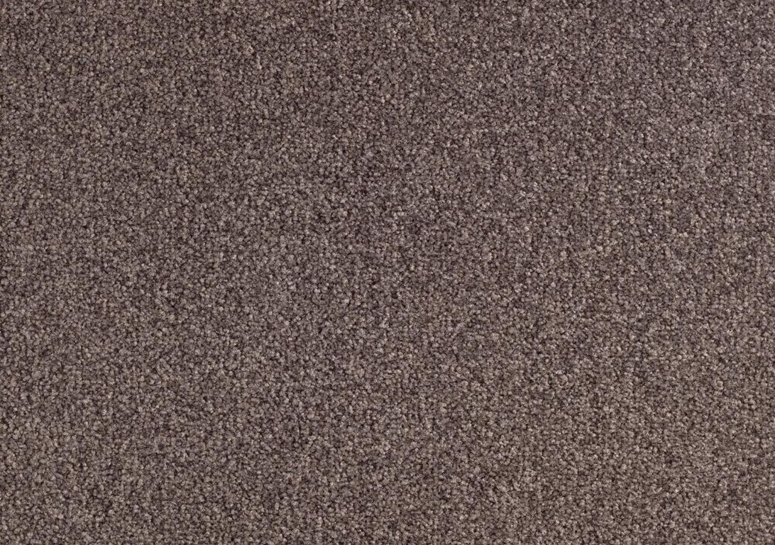 Moquette velours SCENIQUE 4, col taupe, rouleau 4.00 m