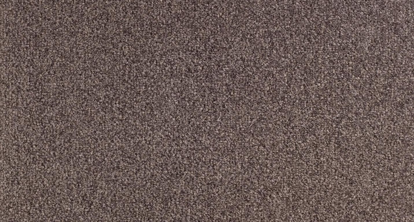 Moquette velours SCENIQUE 4, col taupe, rouleau 4.00 m