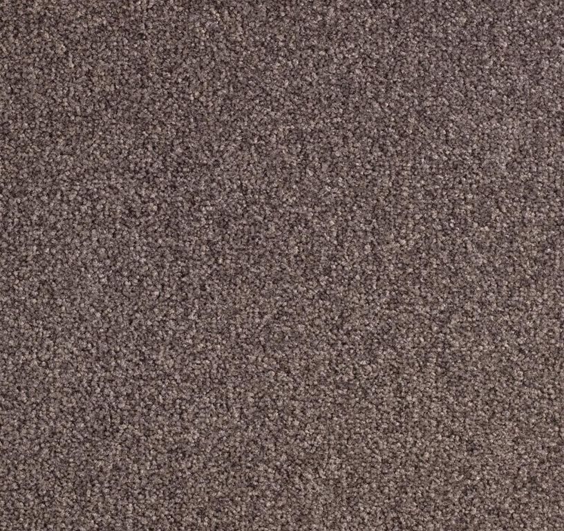 Moquette velours SCENIQUE 4, col taupe, rouleau 4.00 m