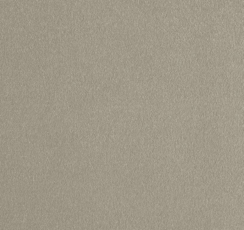 Moquette velours ALICE ECO, col grège, rouleau 4.00 m