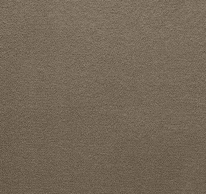 Moquette velours Jade 4M, col taupe, rouleau 4.00 m