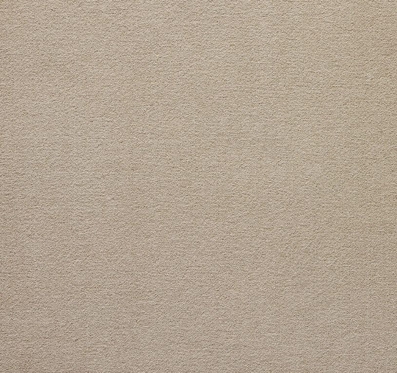 Moquette velours CELESTE 5M, col beige, rouleau 5.00 m