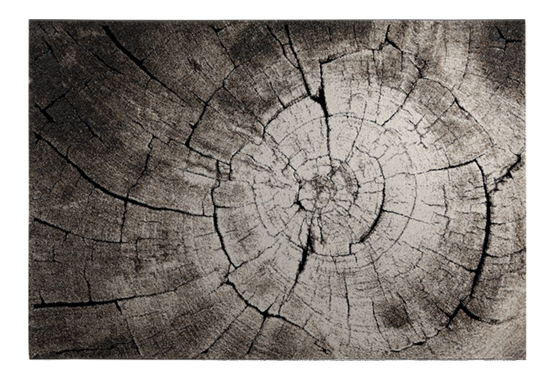 Tapis WILD OAK , végétal  brun