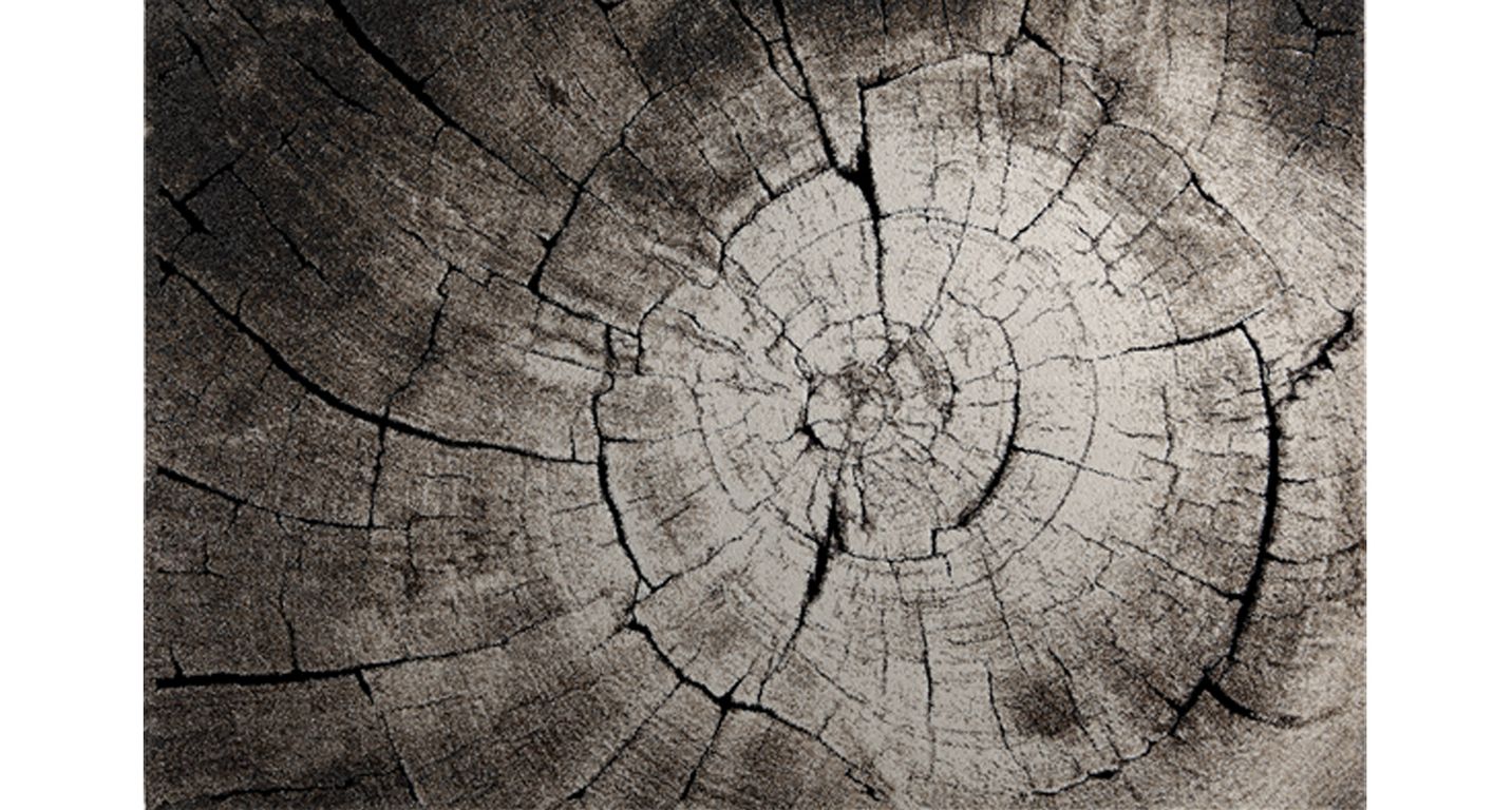 Tapis WILD OAK , végétal  brun