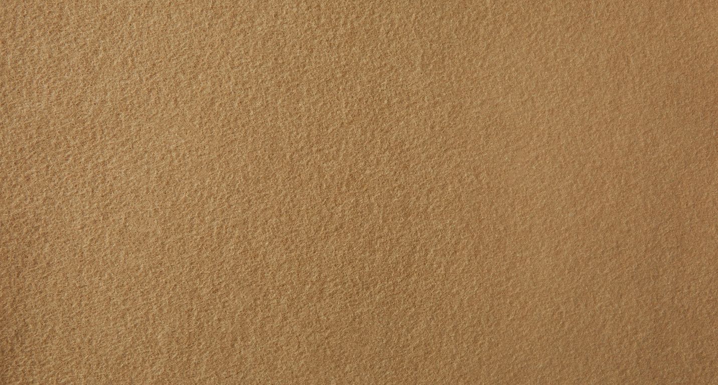 Moquette aiguilletée PODIUM P 2, col camel, rouleau 2.00 m