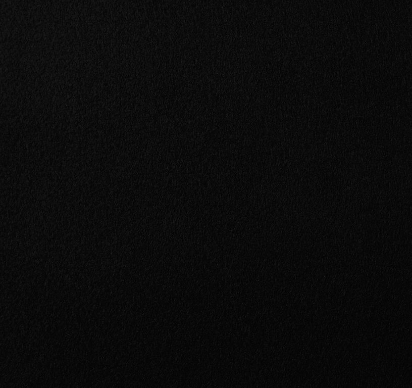 Moquette aiguilletée PODIUM P 2, col noir, rouleau 2.00 m