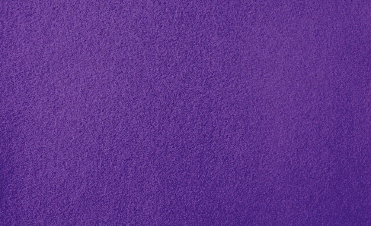 Moquette aiguilletée PODIUM P 2, col violet, rouleau 2.00 m