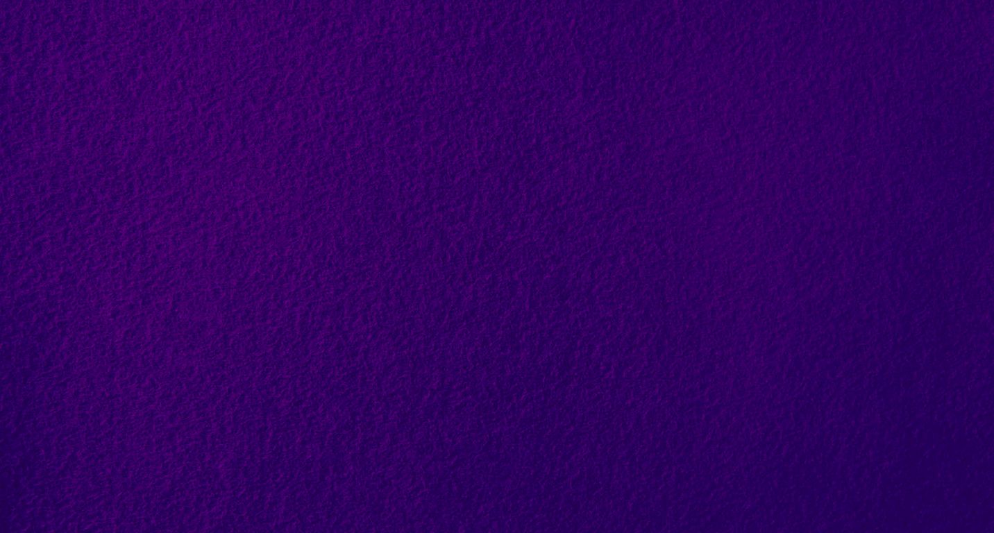 Moquette aiguilletée PODIUM P 2, col violet foncé, rouleau 2.00 m