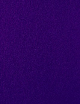 Moquette aiguilletée PODIUM P 2, col violet foncé, rouleau 2.00 m