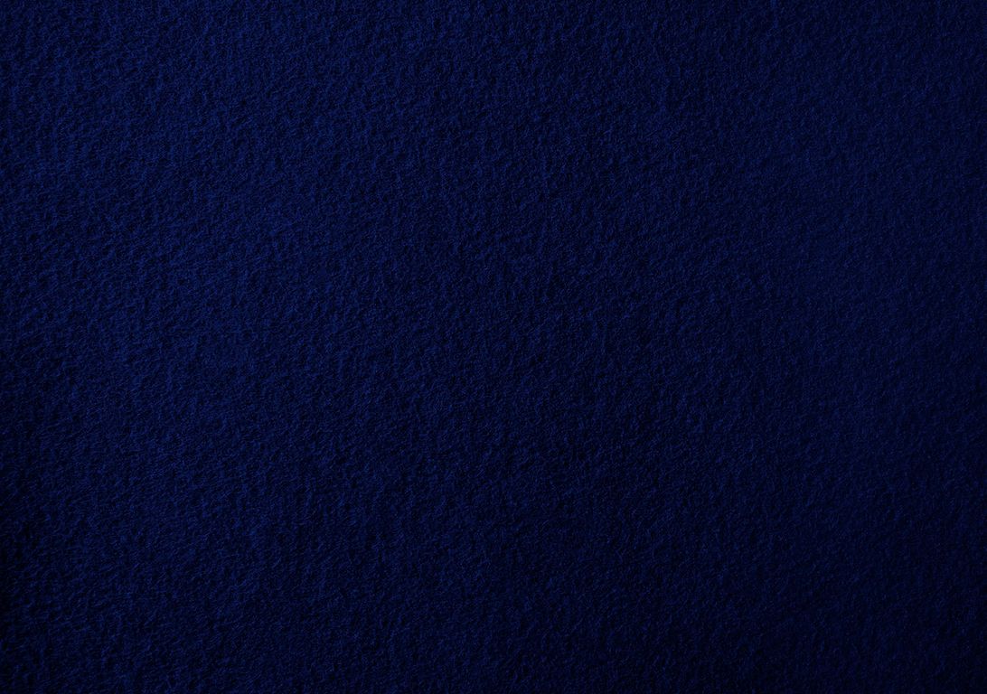 Moquette aiguilletée PODIUM P 2, col bleu nuit, rouleau 2.00 m