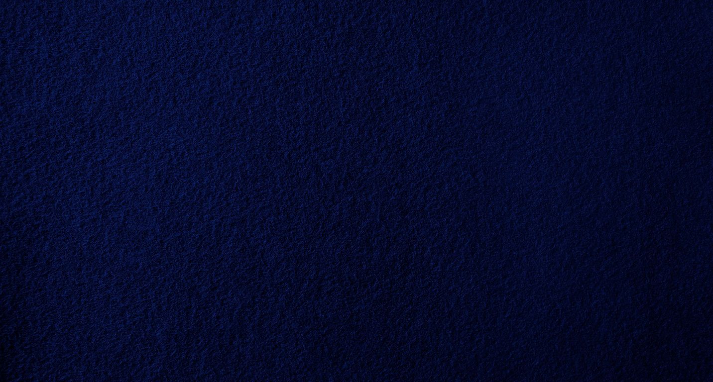 Moquette aiguilletée PODIUM P 2, col bleu nuit, rouleau 2.00 m