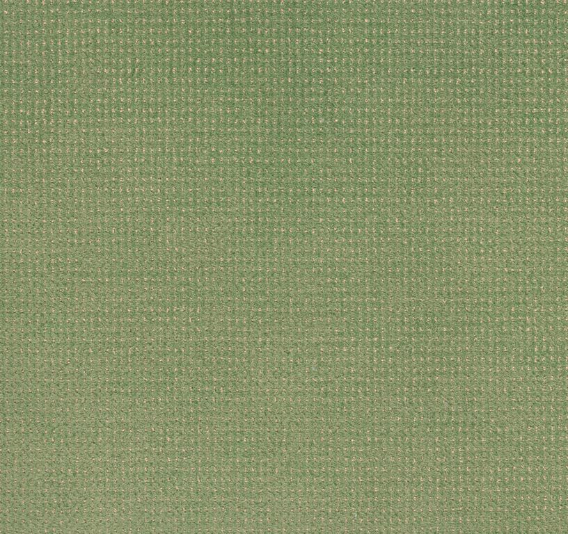Moquette velours BACCARAT, col Vert, rouleau 4.00 m